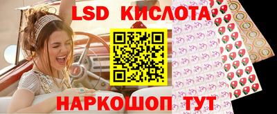 гашик Нальчик
