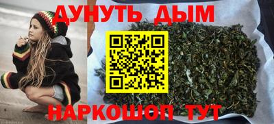 крисы Новодвинск