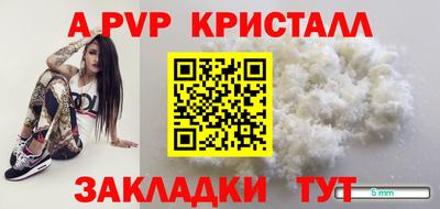 гашик Нальчик